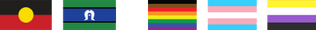 Aboriginal flag, Torres Strait Island flag, Rainbow pride flag, Trans flag, Non-binary flag